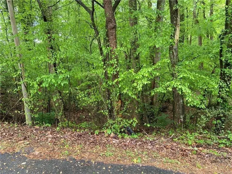 0 Lakeside Trail, Cumming, GA 30041 - #1