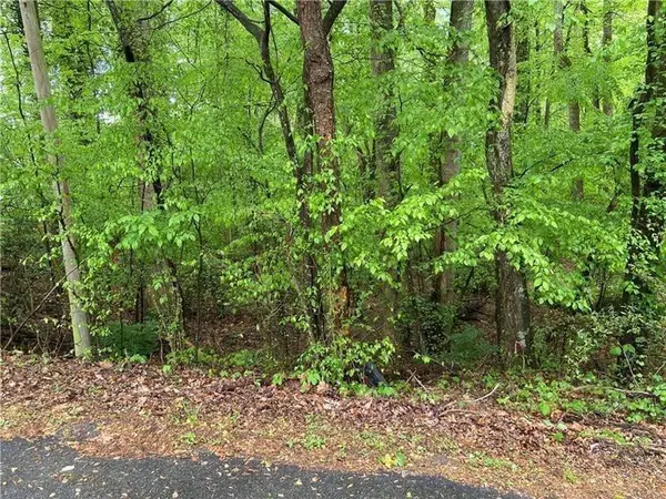 0 Lakeside Trail, Cumming, GA 30041
