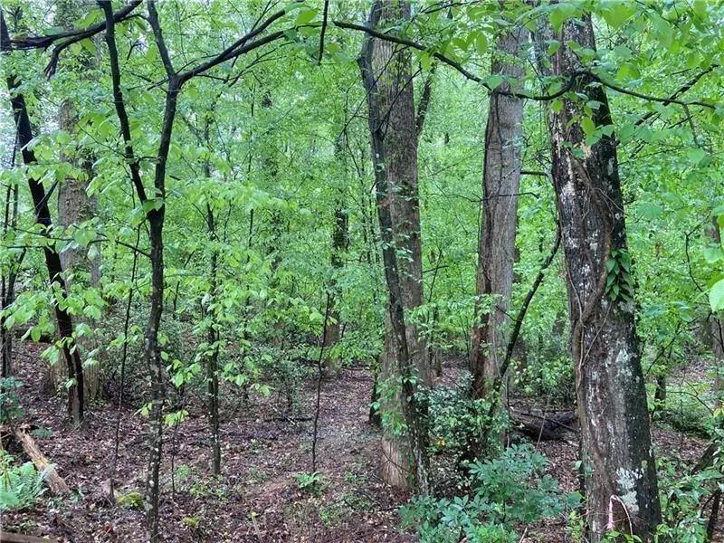 0 Lakeside Trail, Cumming, GA 30041 - #2