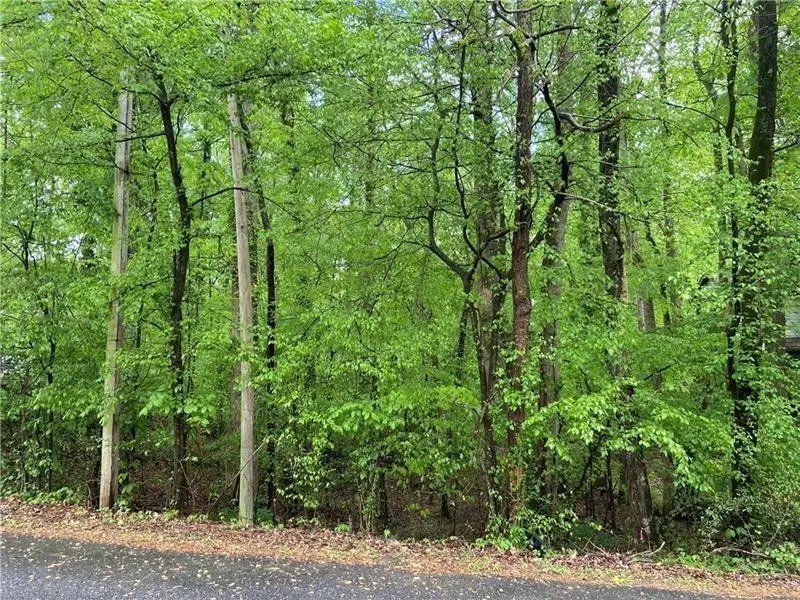 0 Lakeside Trail, Cumming, GA 30041 - #3