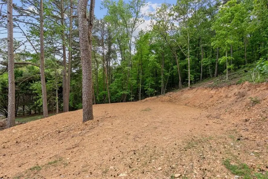 307 Moores Ferry Road Sw, Plainville, GA 30733 - #3