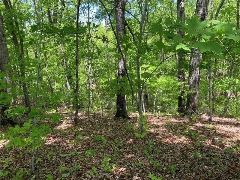 3712 Clubhouse Drive, Gainesville, GA 30501 - #2