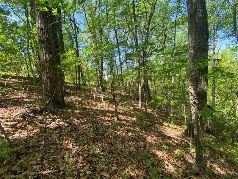 3712 Clubhouse Drive, Gainesville, GA 30501 - #3