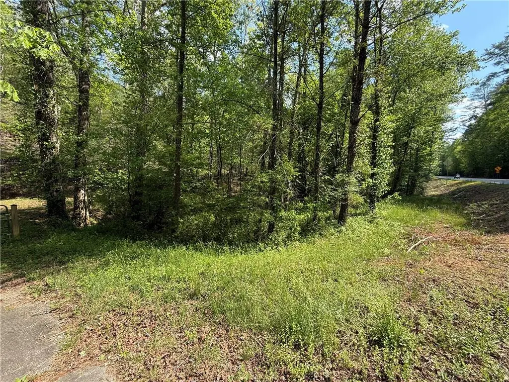 00 Highway 19 N, Dahlonega, GA 30533 - #1