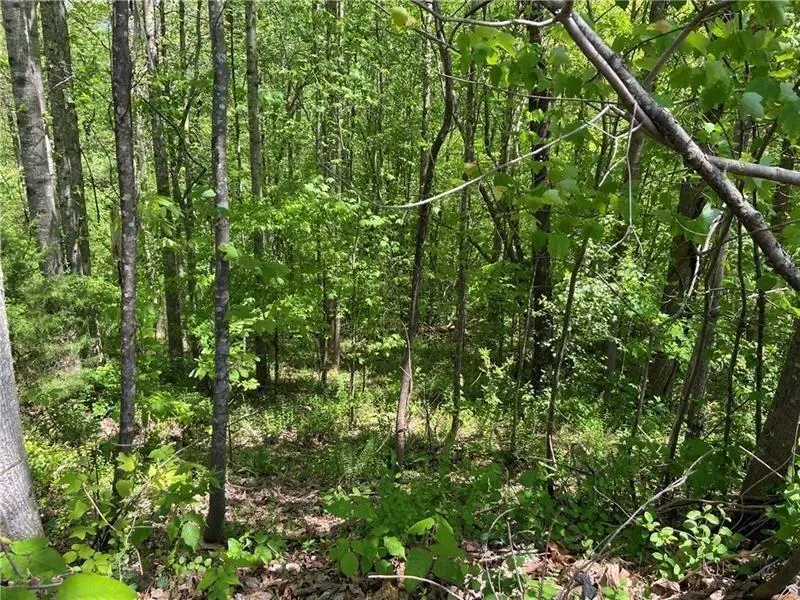 4629 Breakwater Drive, Gainesville, GA 30506 - #2