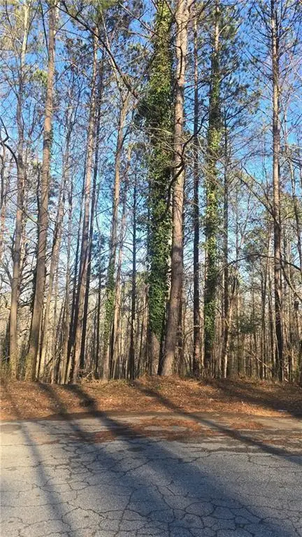 4440 Susans Way, Snellville, GA 30039 - #1