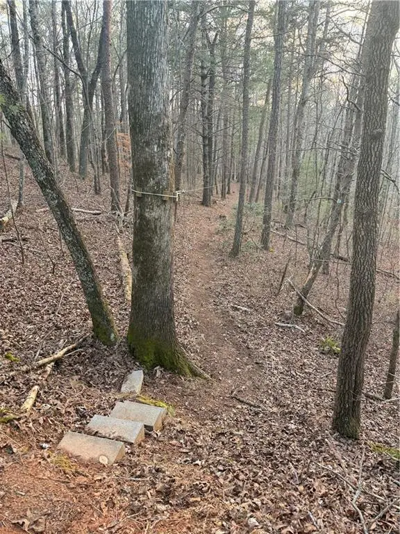 0 Shady Grove Church Road, Talking Rock, GA 30175
