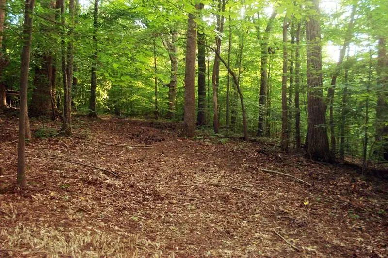 511 Fontaine Road Sw, Mableton, GA 30126 - #3