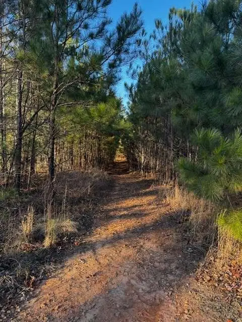 28.59 Belford Way, Jackson, GA 30233 - #1