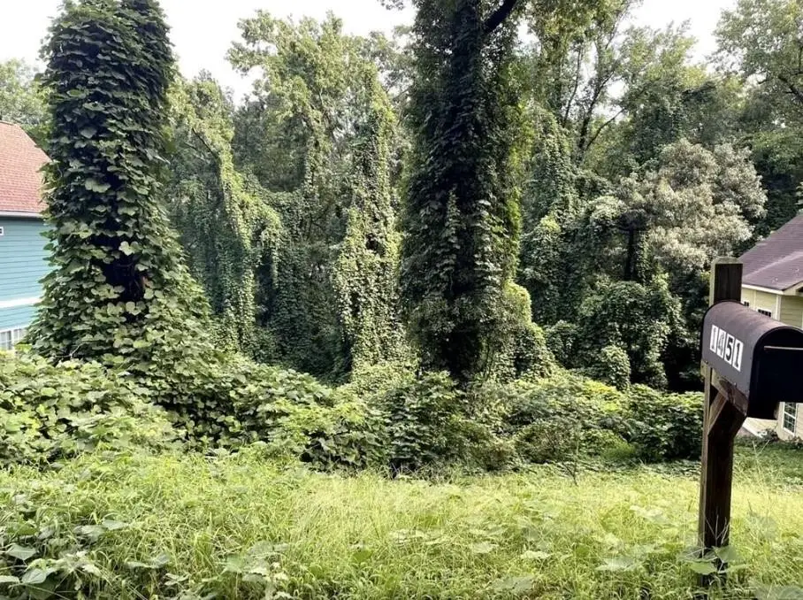 1451 Andrews Street Nw, Atlanta, GA 30314 - #1