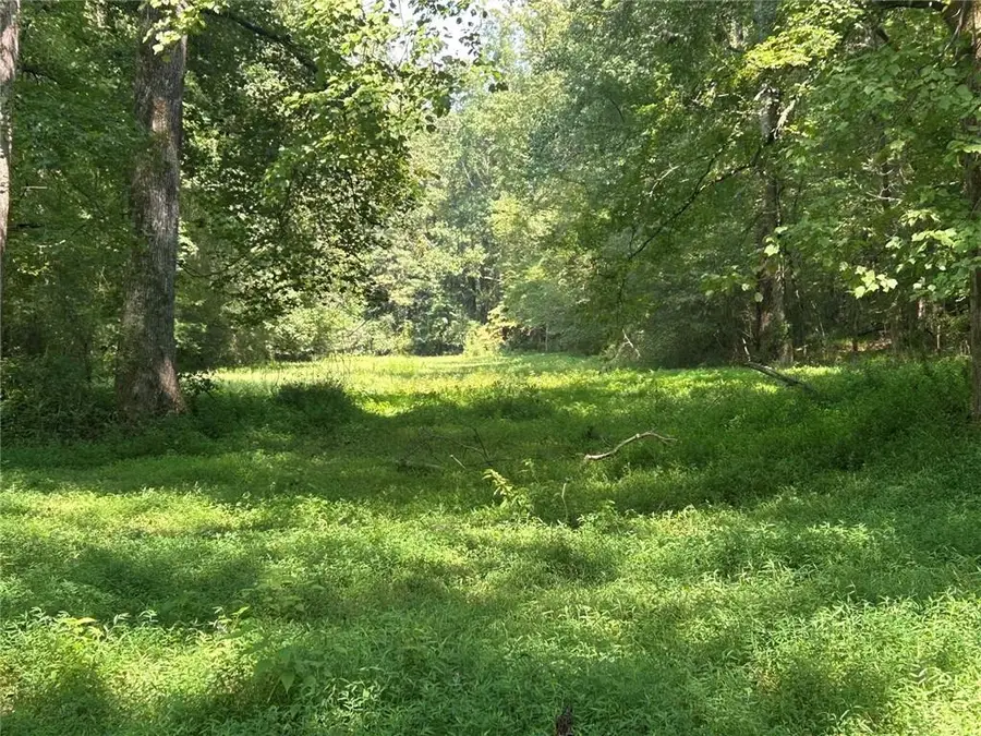 0 Attaway Road-9.22, Bowdon, GA 30108 - #2