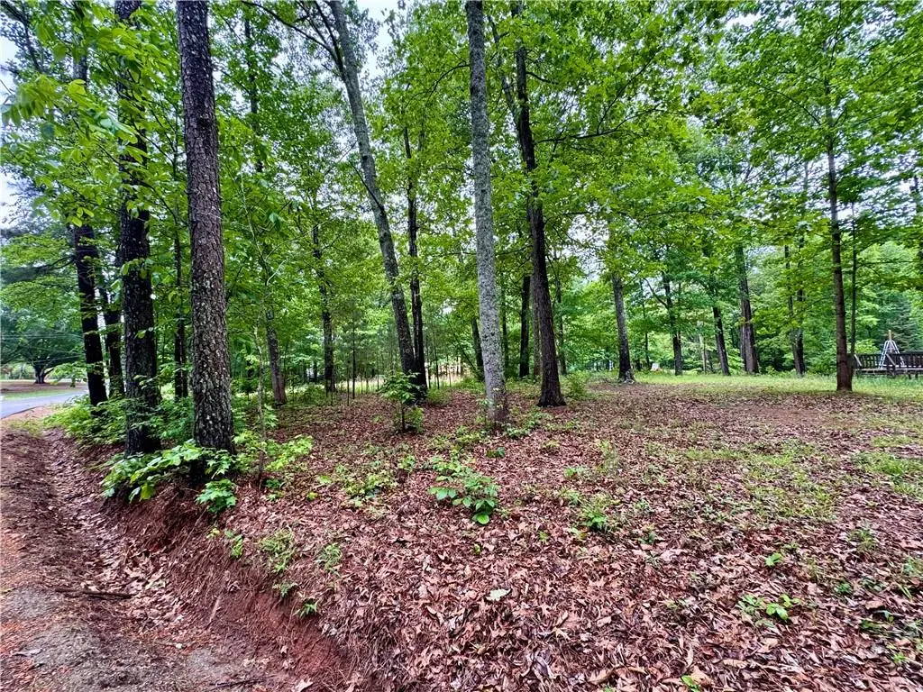 126 Mccready Drive, Dallas, GA 30157 - #1