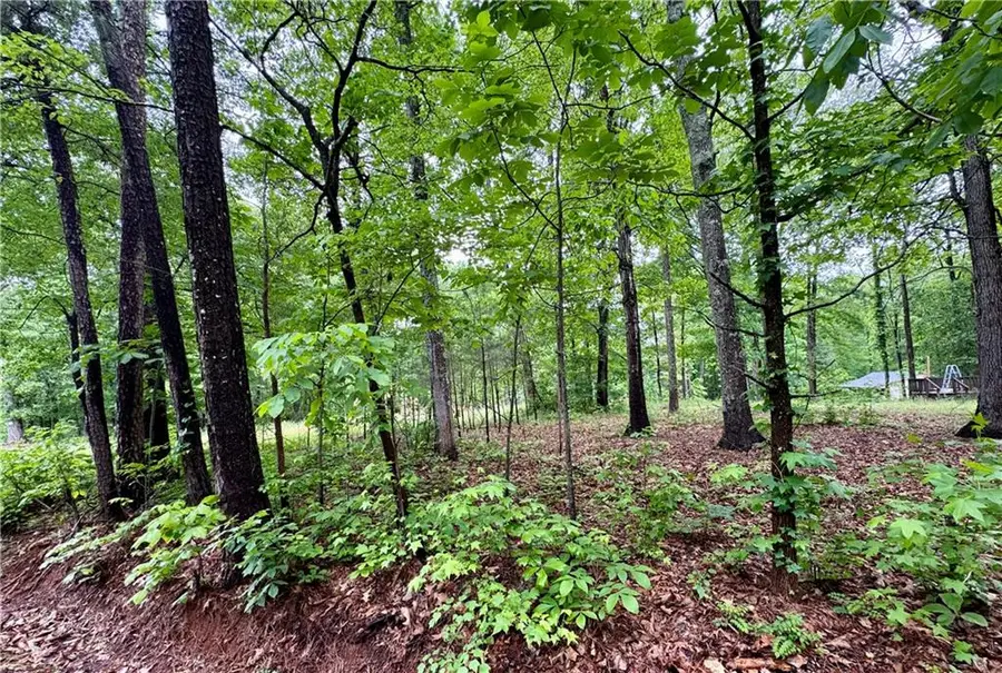 126 Mccready Drive, Dallas, GA 30157 - #3