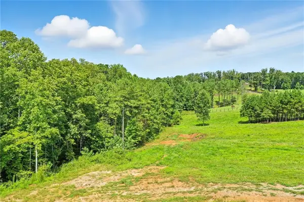 3511 Reavis Mountain #2 Road, Ball Ground, GA 30107