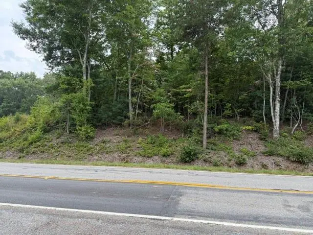 0 Hwy 52 West, Dahlonega, GA 30353 - #3