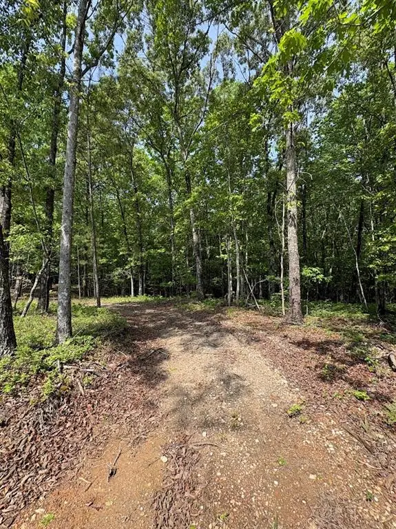 0 Roy Dean Road, Buchanan, GA 30113 - #3