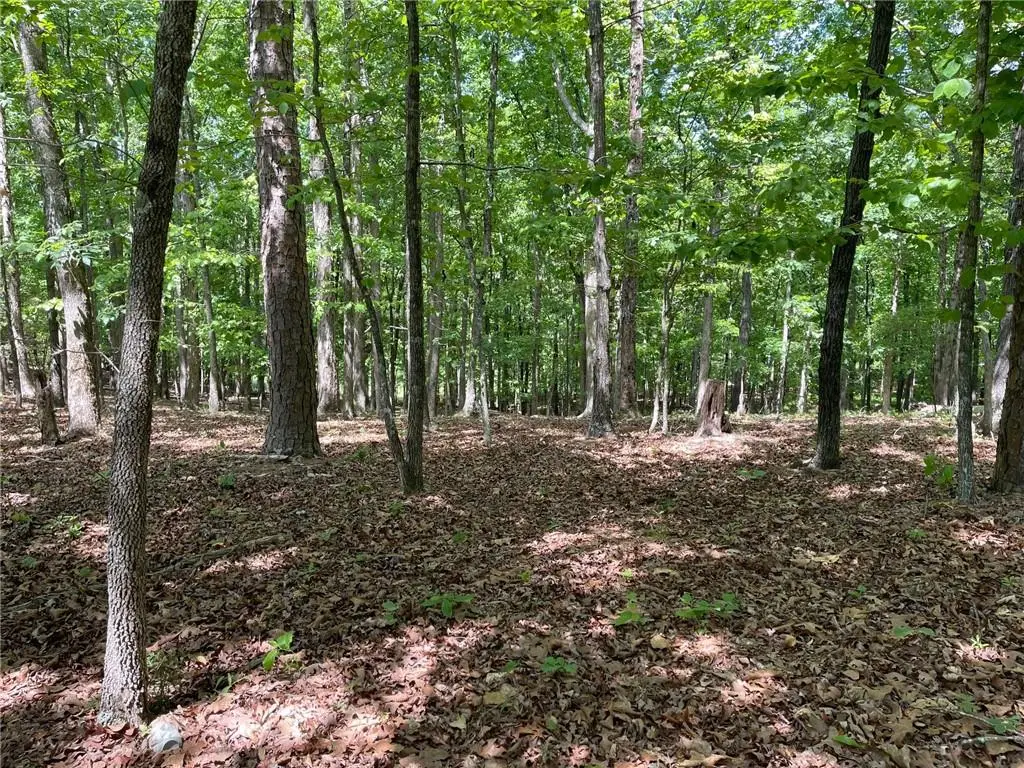 Lot2&3 Chalcrest Way, Cave Spring, GA 30124 - #1
