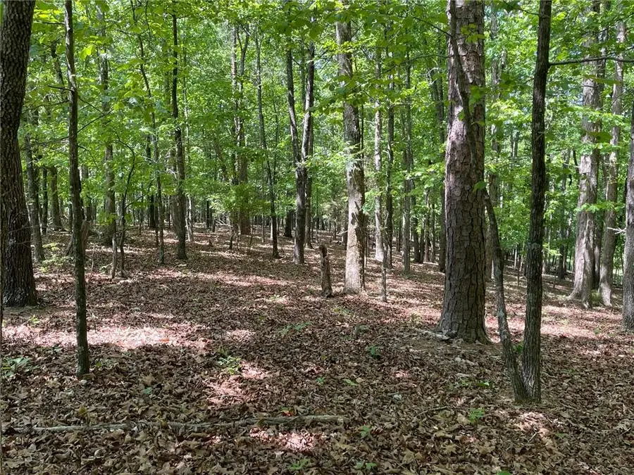 Lot2&3 Chalcrest Way, Cave Spring, GA 30124 - #3