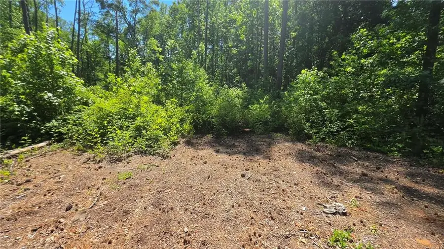 6099 Old Alabama Road Sw, Austell, GA 30168 - #2