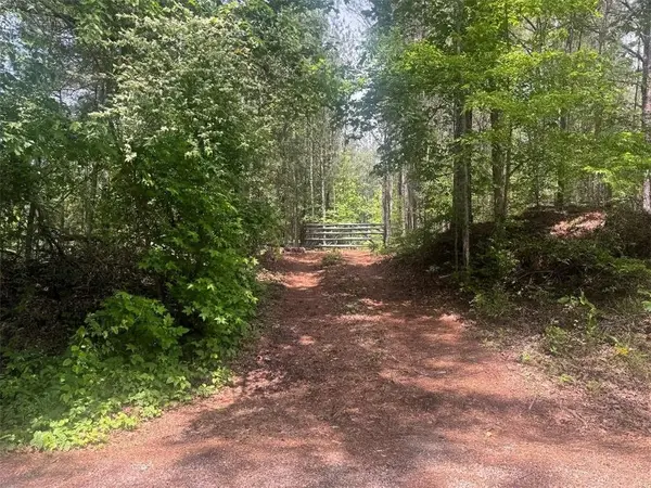 0 Butler Bridge Road, Mcdonough, GA 30252