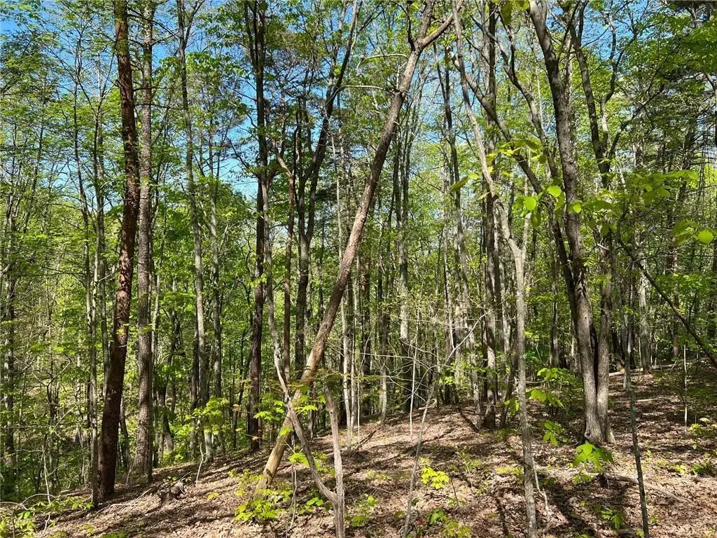 269 Appleberry Mountain Road, Waleska, GA 30183 - #1
