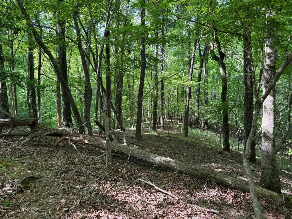 00 High Shoals Drive, Dahlonega, GA 30533 - #1
