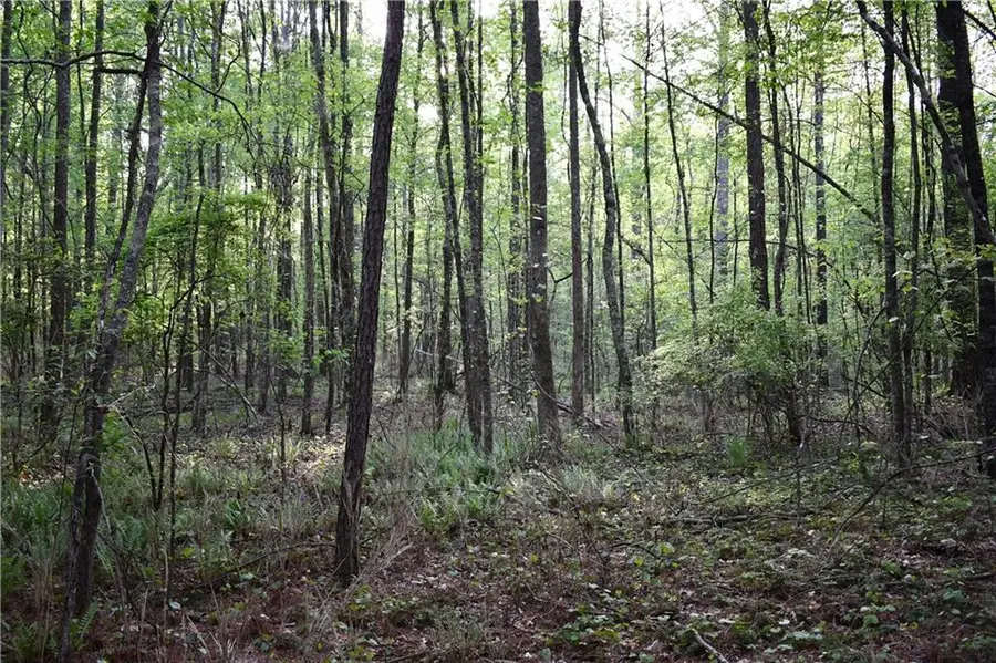 00004 Windridge Lane, Temple, GA 30179 - #2