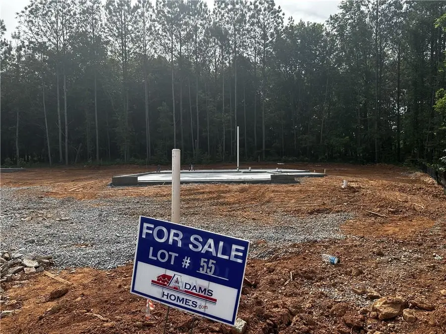 207 Laney Drive, Carrollton, GA 30117 - #2