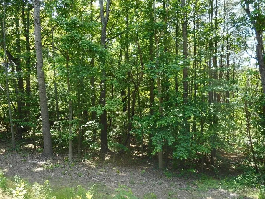 0 Holly Street, Canton, GA 30114 - #3