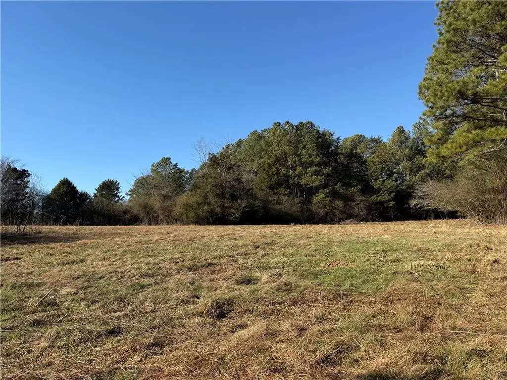 000000 Liberty Church Road, Ranger, GA 30734 - #1