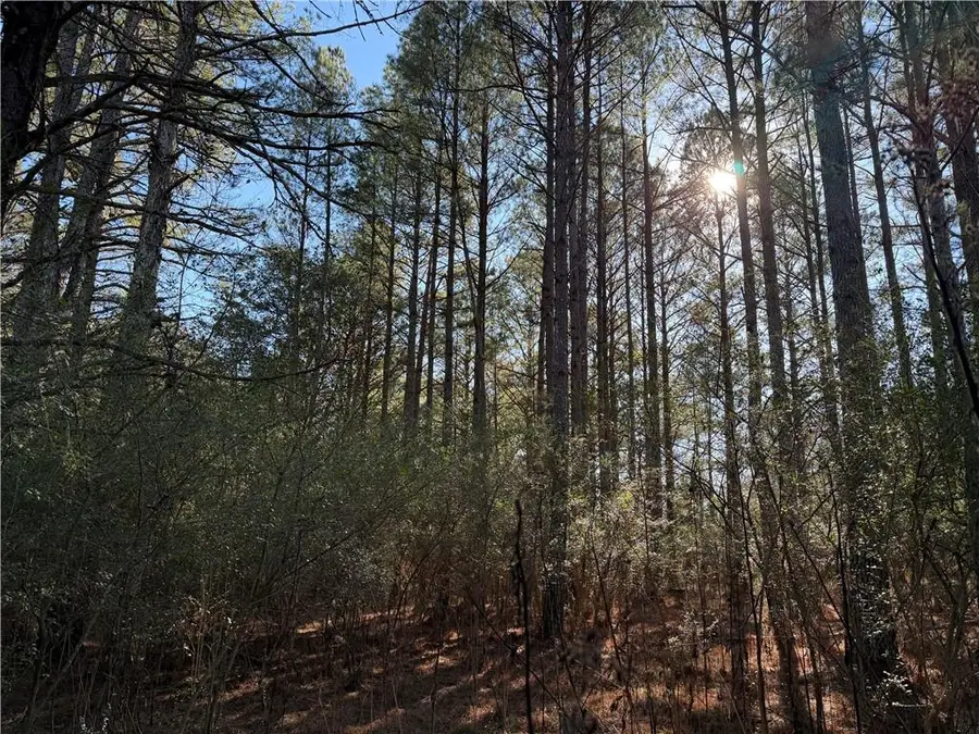 000000 Liberty Church Road, Ranger, GA 30734 - #2
