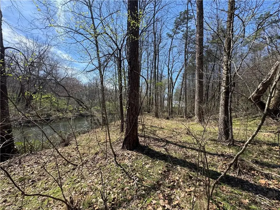 0 Lewis Grindle Road, Dahlonega, GA 30533 - #3