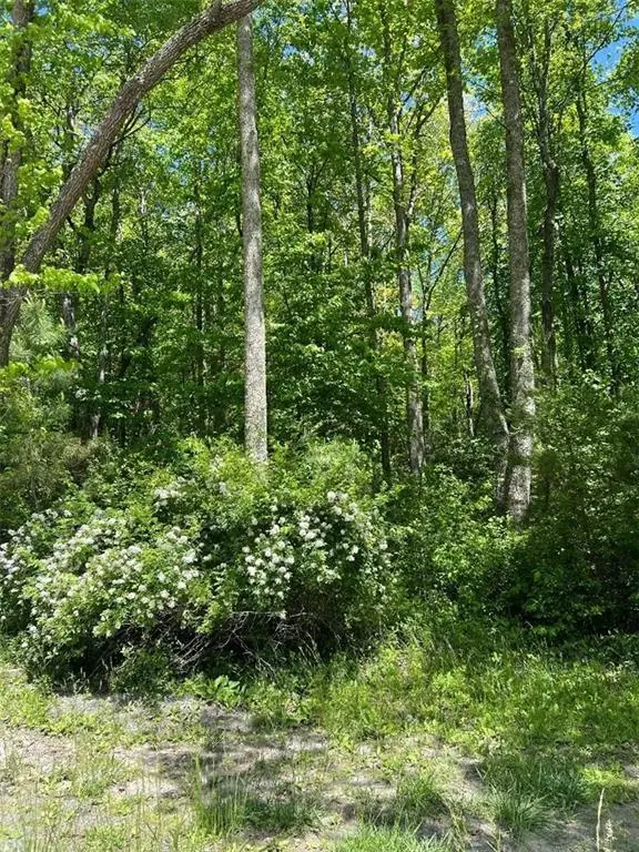 0 Sunrise Valley Road, Blue Ridge, GA 30513 - #2
