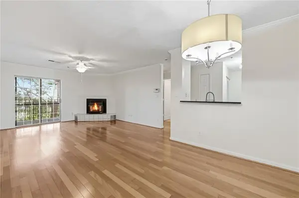 970 Sidney Marcus Boulevard Ne, Atlanta, GA 30324
