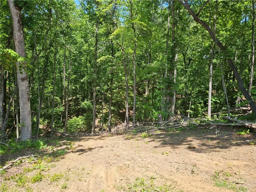 1581 Mount Carmel Church Lane, Canton, GA 30114 - #2