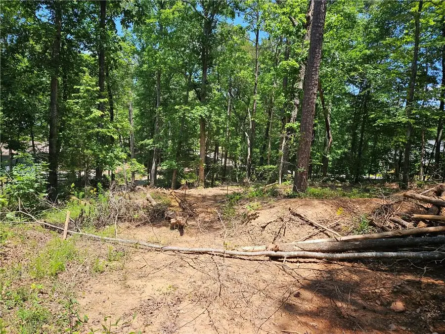 1581 Mount Carmel Church Lane, Canton, GA 30114 - #3