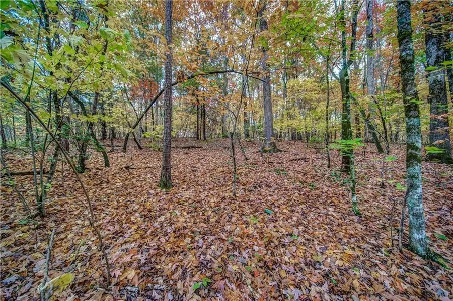 543 Cove Lake Drive, Marble Hill, GA 30148 - #2