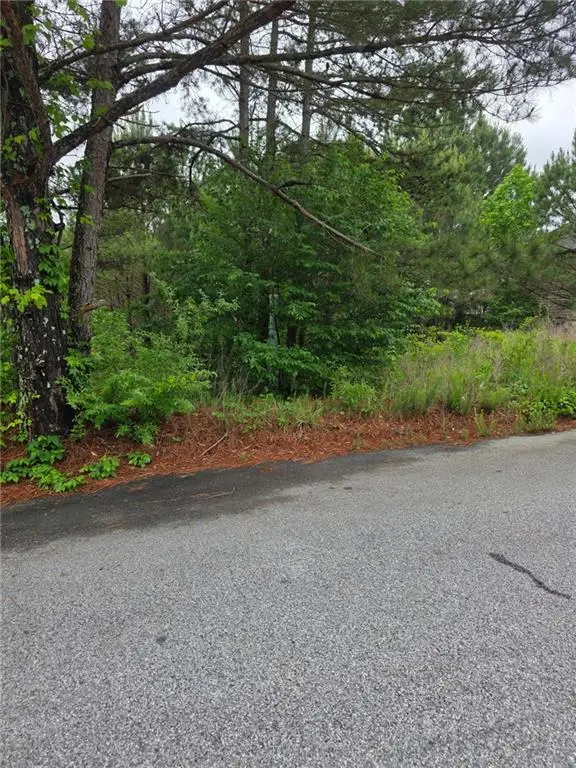 6372 Flat Rock Lane, Atlanta, GA 30349 - #2