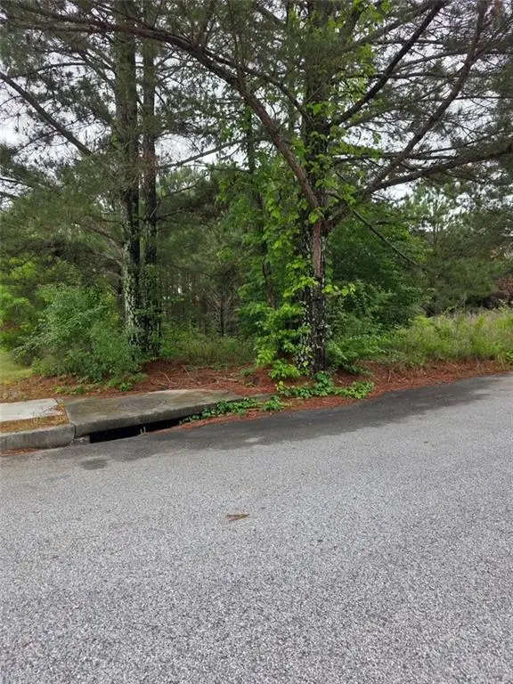 6372 Flat Rock Lane, Atlanta, GA 30349 - #3