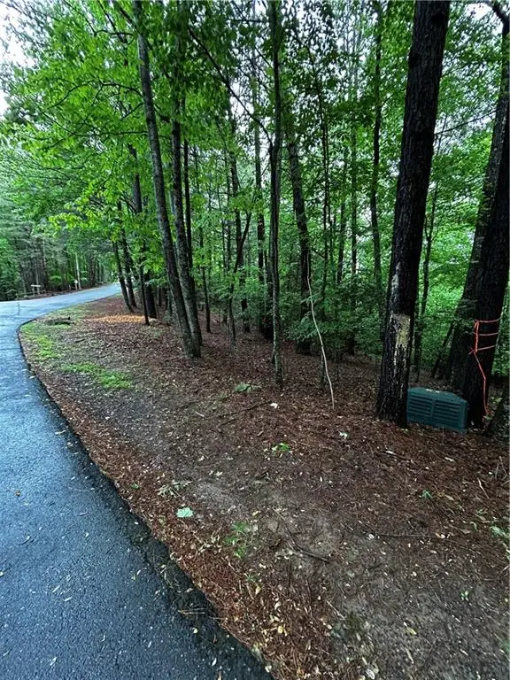 00 Lazy River Lane, Ellijay, GA 30540 - #1