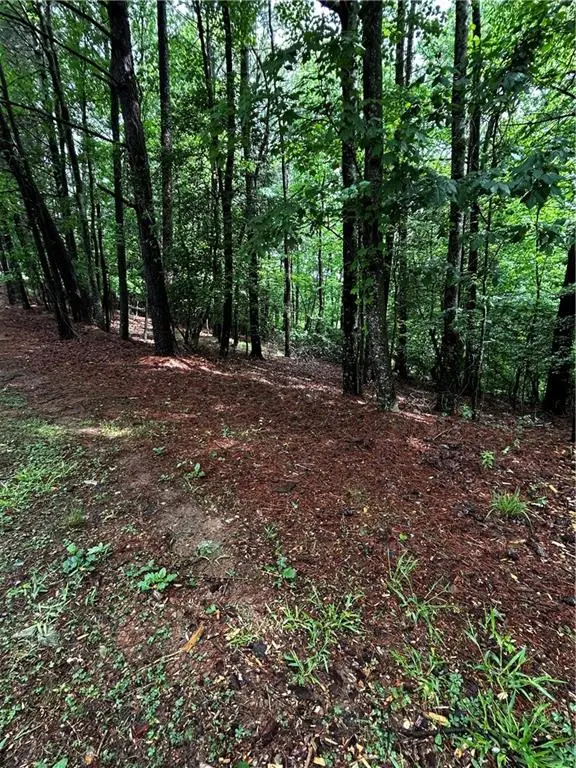 00 Lazy River Lane, Ellijay, GA 30540 - #2