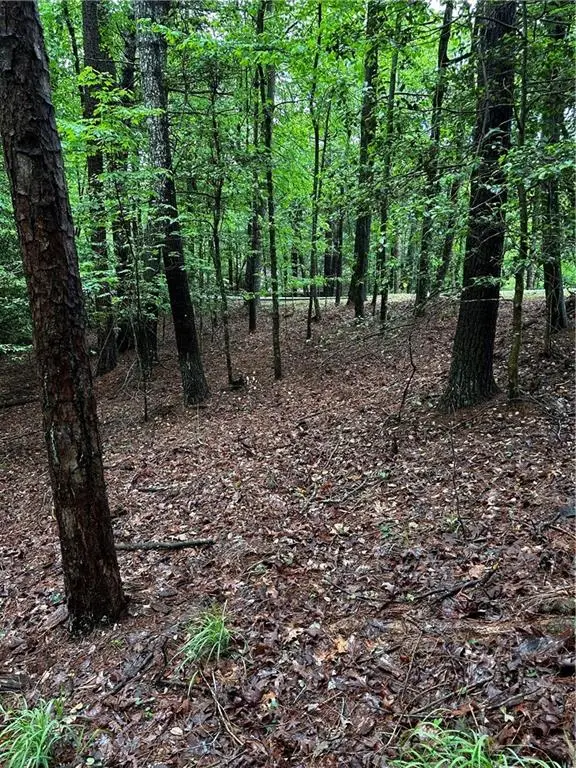 00 Lazy River Lane, Ellijay, GA 30540 - #3