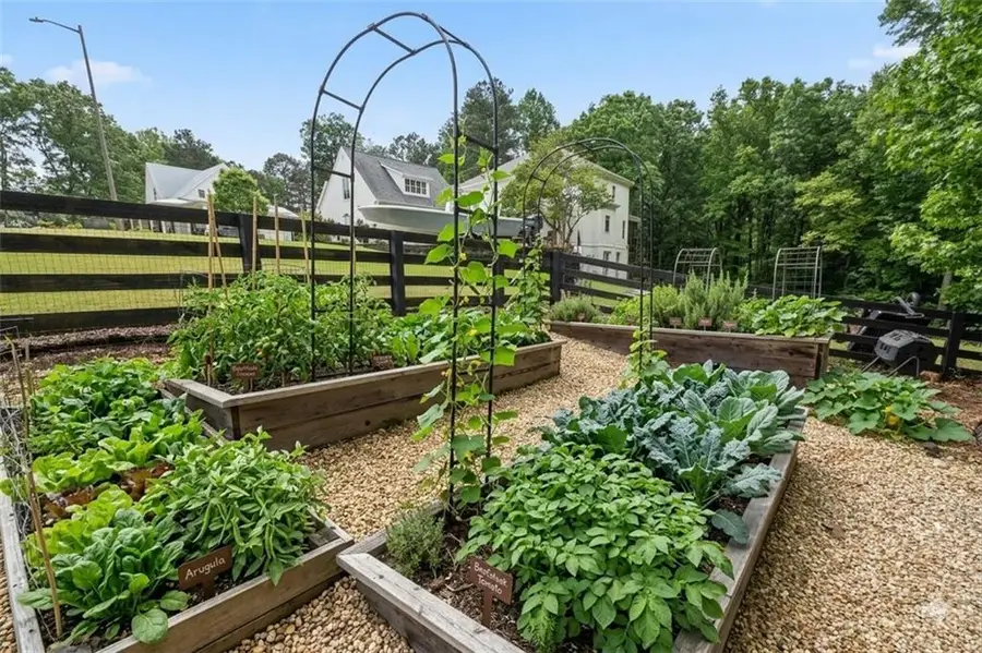 126 White Oak, Cumming, GA 30028 - #3