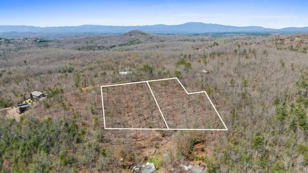 40A Synacia Road, Mineral Bluff, GA 30559 - #1