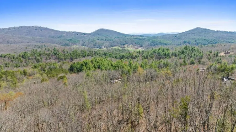 40A Synacia Road, Mineral Bluff, GA 30559 - #2