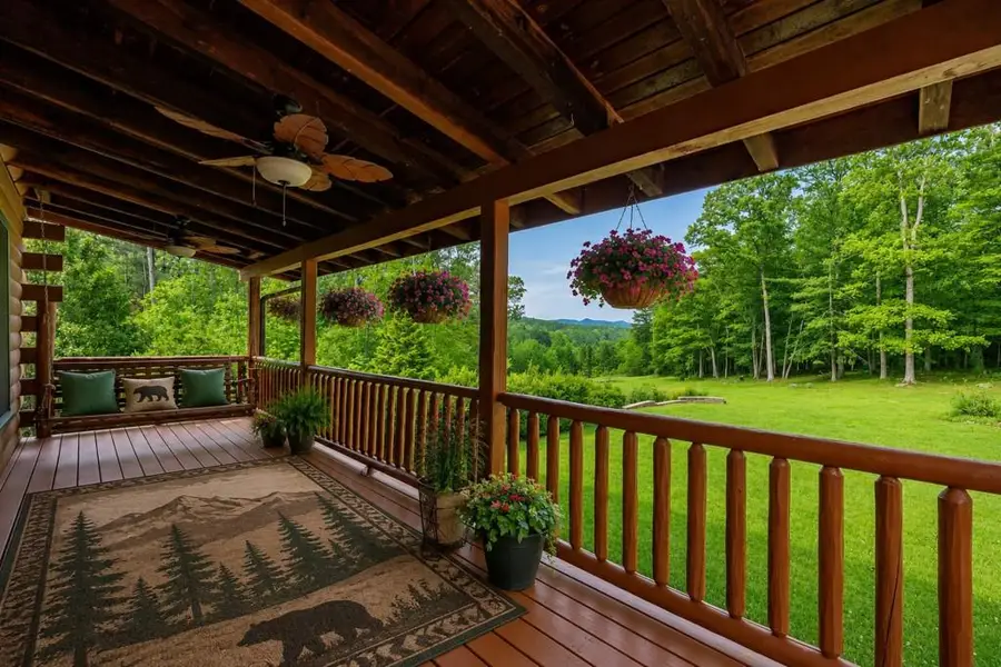 1881 John Smith Road E, Blairsville, GA 30512 - #3