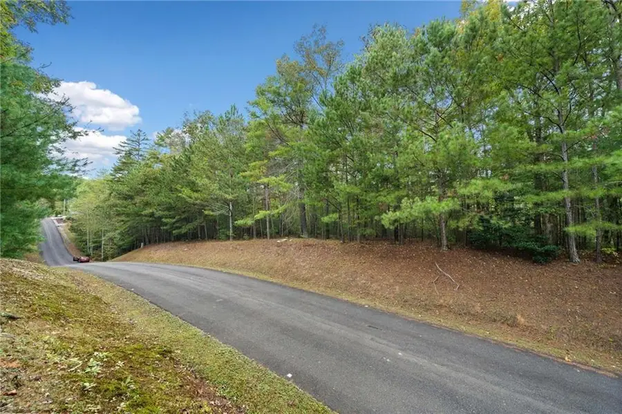 0 Trout Line Court, Talking Rock, GA 30175 - #3