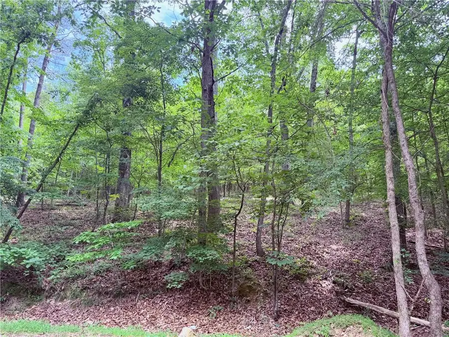 377 W Oak Grove Road Nw, Adairsville, GA 30103 - #2