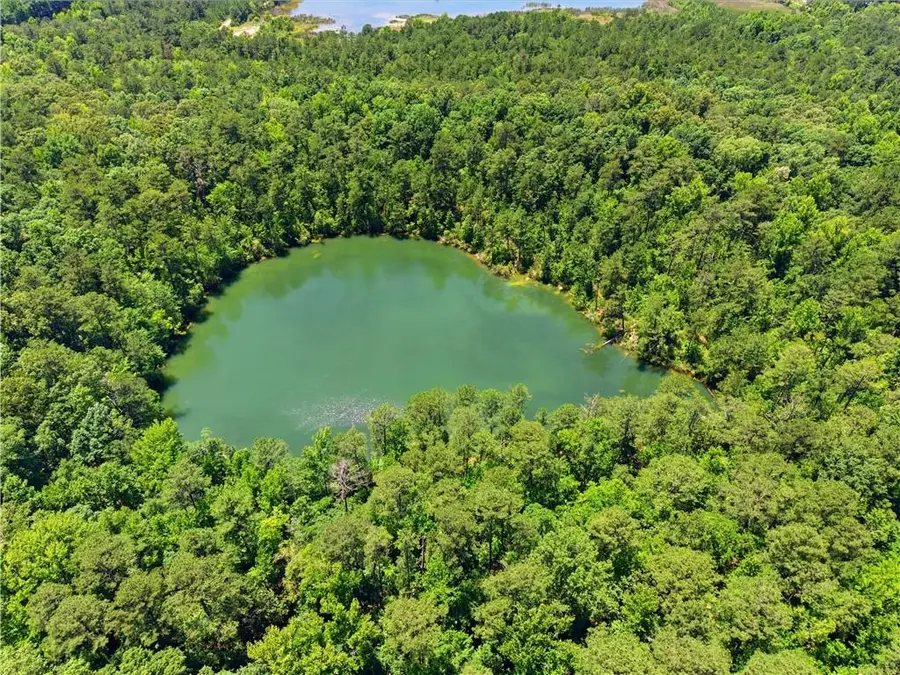 0 Magnolia, McIntyre, GA 31054 - #3