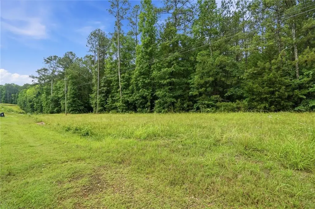 2907 Highway, Covington, GA 30016 - #1